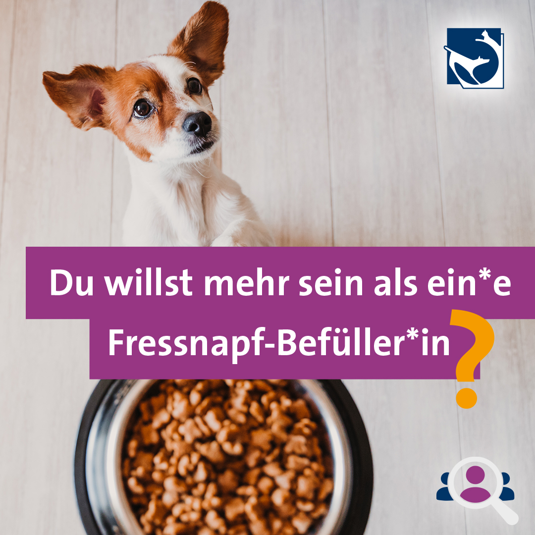 Social-Media Recruiting-Kampagne für die Tierklinik Hofheim: Motiv "Du willst mehr sein."