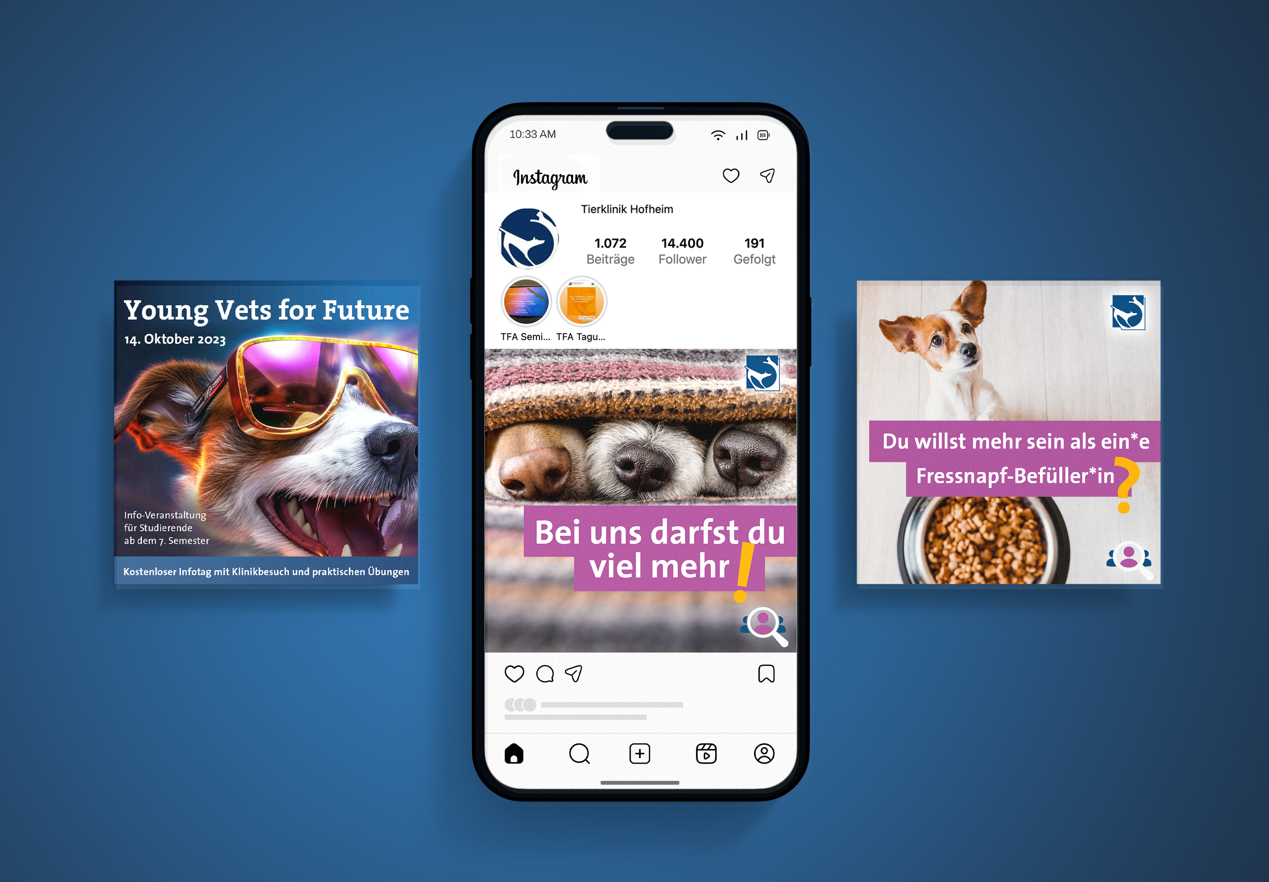Social Media Beiträge der Tierklinik Hofheim zur Gewinnung von neuen Mitarbeitenden