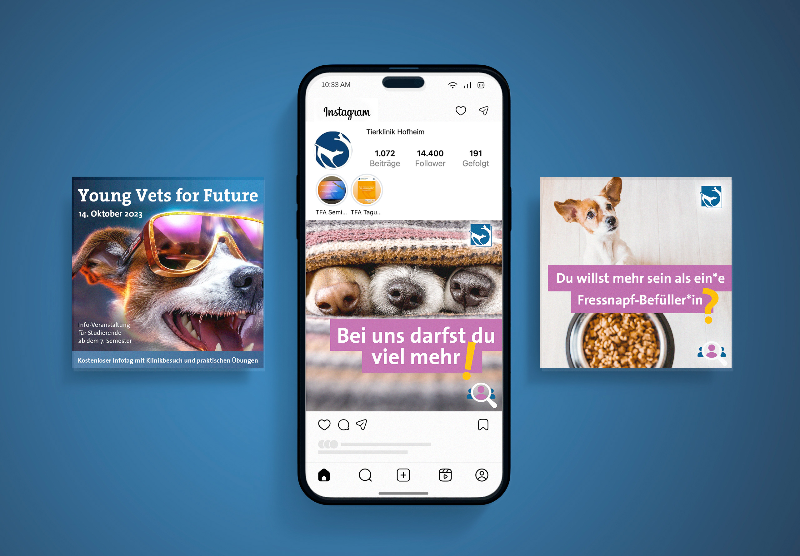 Social Media Beiträge der Tierklinik Hofheim zur Gewinnung von neuen Mitarbeitenden
